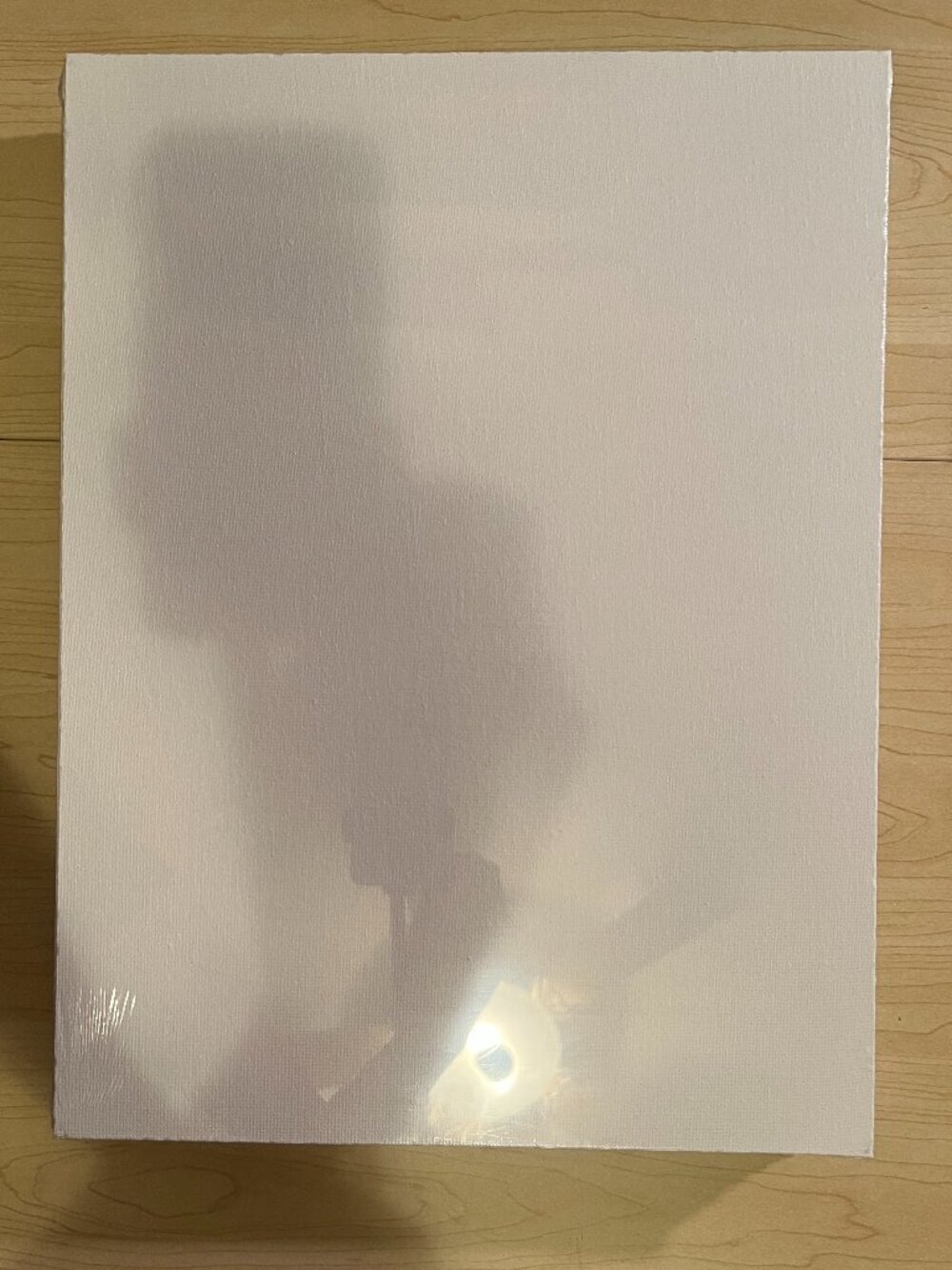 10 each 12 x 16 Blick Canvas Panels
